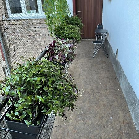 Le Royal Suites Sarajevo - City Center Eksteriør billede
